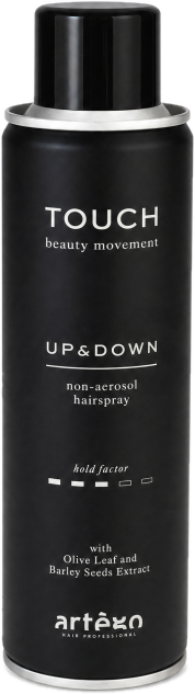 Artègo Touch Up and Down Non-Aerosol Hairspray