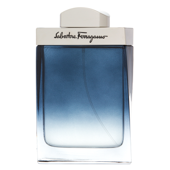 Salvatore Ferragamo Subtil Pour Homme