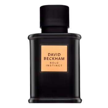 David Beckham Bold Instinct