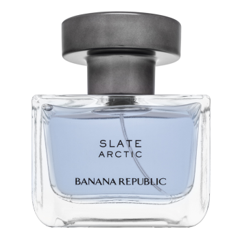 Banana Republic Slate Arctic