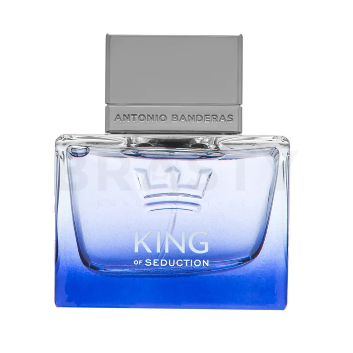 Antonio Banderas King Of Seduction