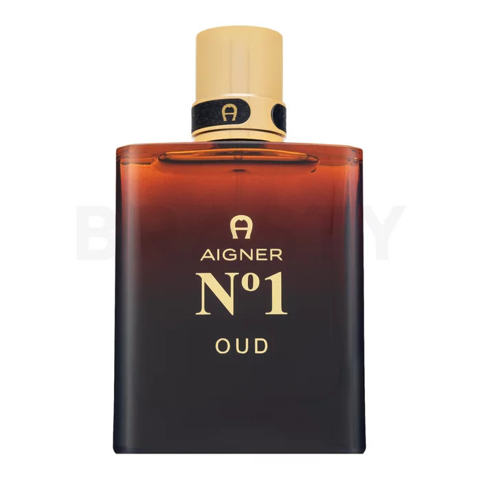 Aigner No. 1 Oud
