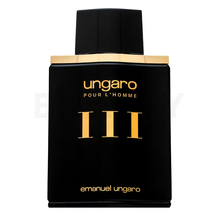 Emanuel Ungaro Homme III